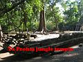 027010 Ta Prohm Jungle temple